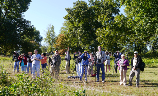 Birders