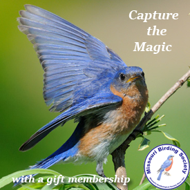 Gift Membership
