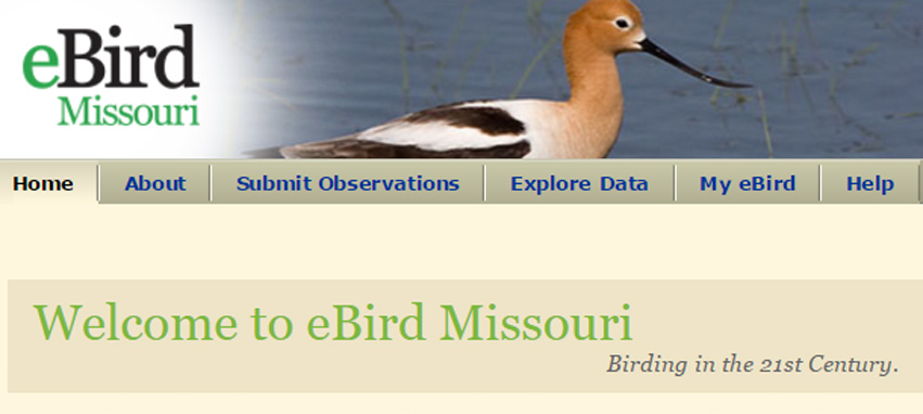 eBird Missouri